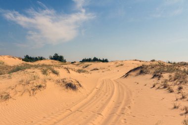 Oleshkiv kumlarının manzarası - Kherson şehrinin yakınındaki Ukrayna çölü. Ukrayna