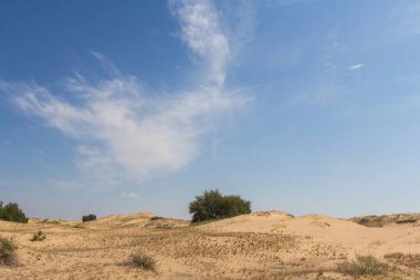 Oleshkiv kumlarının manzarası - Kherson şehrinin yakınındaki Ukrayna çölü. Ukrayna