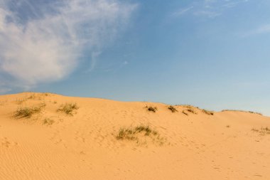 Oleshkiv kumlarının manzarası - Kherson şehrinin yakınındaki Ukrayna çölü. Ukrayna