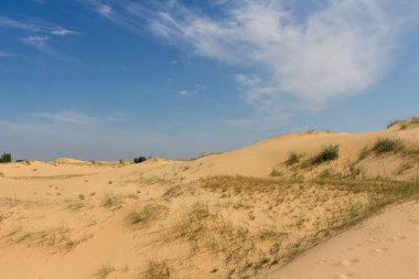 Oleshkiv kumlarının manzarası - Kherson şehrinin yakınındaki Ukrayna çölü. Ukrayna