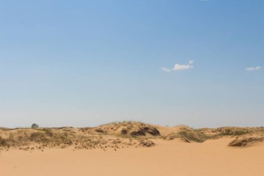 Oleshkiv kumlarının manzarası - Kherson şehrinin yakınındaki Ukrayna çölü. Ukrayna