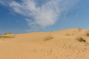 Oleshkiv kumlarının manzarası - Kherson şehrinin yakınındaki Ukrayna çölü. Ukrayna