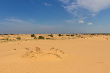 Oleshkiv kumlarının manzarası - Kherson şehrinin yakınındaki Ukrayna çölü. Ukrayna