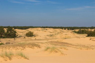 Oleshkiv kumlarının manzarası - Kherson şehrinin yakınındaki Ukrayna çölü. Ukrayna