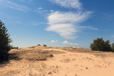 Oleshkiv kumlarının manzarası - Kherson şehrinin yakınındaki Ukrayna çölü. Ukrayna