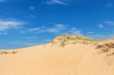 Oleshkiv kumlarının manzarası - Kherson şehrinin yakınındaki Ukrayna çölü. Ukrayna