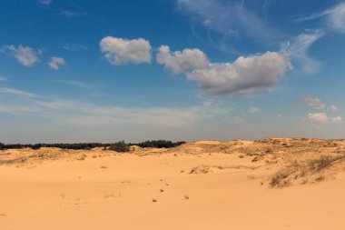 Oleshkiv kumlarının manzarası - Kherson şehrinin yakınındaki Ukrayna çölü. Ukrayna