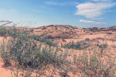 Oleshkiv kumlarının manzarası - Kherson şehrinin yakınındaki Ukrayna çölü. Ukrayna