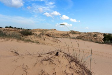 Oleshkiv kumlarının manzarası - Kherson şehrinin yakınındaki Ukrayna çölü. Ukrayna