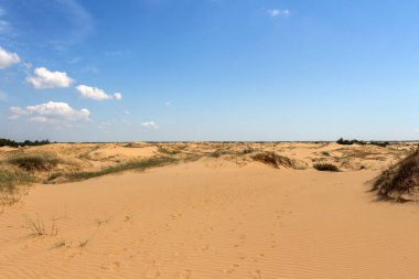 Oleshkiv kumlarının manzarası - Kherson şehrinin yakınındaki Ukrayna çölü. Ukrayna