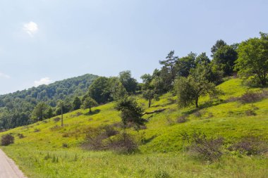 Dağlardaki yol manzarası çok güzel. Yaz manzarası.