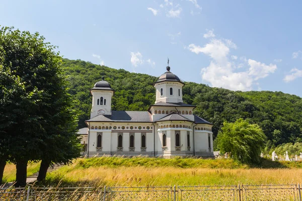 トランシルヴァニアの美しい正教会 ルーマニア — ストック写真