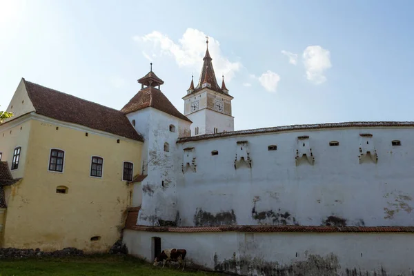 Veduta Della Storica Chiesa Fortezza Nella Città Hrman Transilvania Romania — Foto Stock
