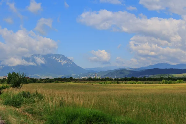Vista Campo Montanhas Região Transilvânia Roménia — Fotografia de Stock