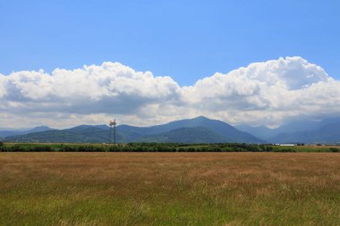 Soya fasulyesi tarlasında yüksek voltajlı elektrik hattı var.