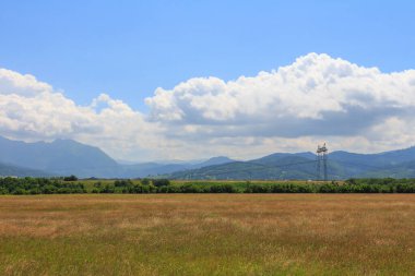 Soya fasulyesi tarlasında yüksek voltajlı elektrik hattı var.