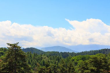 Rasnov kenti yakınlarındaki orman ve dağların manzarası. Transilvanya. Romanya