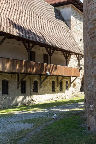 Mauern Hof Der Historischen Festung Fagaras Einem Sonnigen Tag Siebenbürgen — Stockfoto