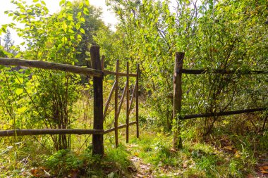 Trakhtemyriv yarımadasında eski bir ahşap kapı. Ukrayna