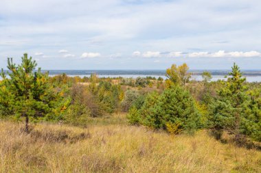 Trakhtemiriv yarımadasında sonbahar ormanı. Ukrayna