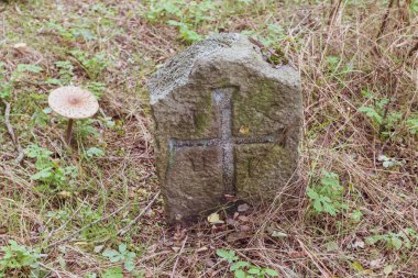 Trakhteriv Yarımadası 'ndaki terk edilmiş bir mezarlıkta antik mezar taşları. Ukrayna