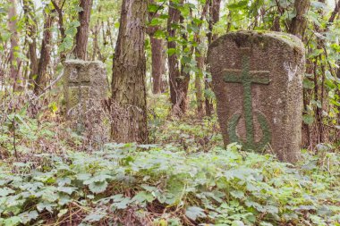 Trakhteriv Yarımadası 'ndaki terk edilmiş bir mezarlıkta antik mezar taşları. Ukrayna