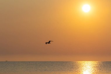 Odesa 'da Karadeniz üzerinde güzel bir şafak. Ukrayna