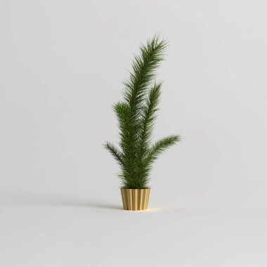 Beyaz arkaplanda 3 boyutlu çam ağacı çizimi