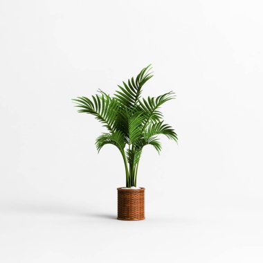 Beyaz arkaplanda izole edilmiş üç boyutlu palmiye çizimi