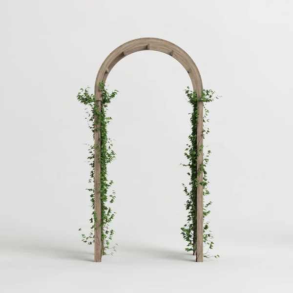 stock image 3d illustration of wooden arched ivy isolated on white background