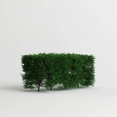 Beyaz arkaplanda izole edilmiş üç boyutlu çalı çizimi