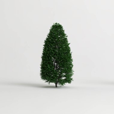 Beyaz arkaplanda izole edilmiş üç boyutlu çalı çizimi