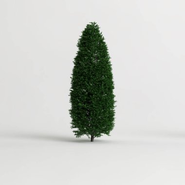 Beyaz arkaplanda izole edilmiş üç boyutlu çalı çizimi