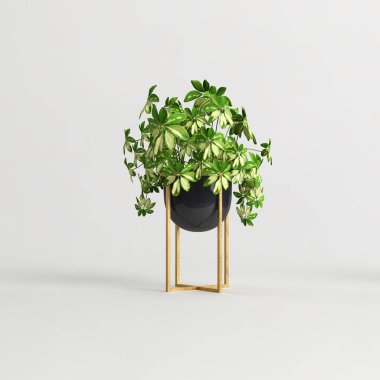 Beyaz arkaplanda izole edilmiş üç boyutlu bitki özü çizimi