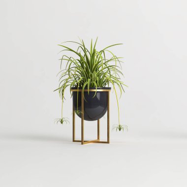 Beyaz arkaplanda izole edilmiş üç boyutlu bitki özü çizimi