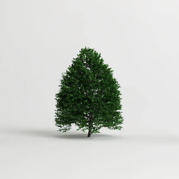 3D白色背景下孤立的灌木的图解 — 图库照片