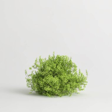 3d illustration of bush isolated on white background