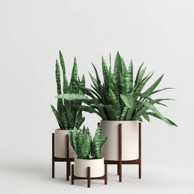 Beyaz arkaplanda izole edilmiş üç boyutlu saksı çizimi