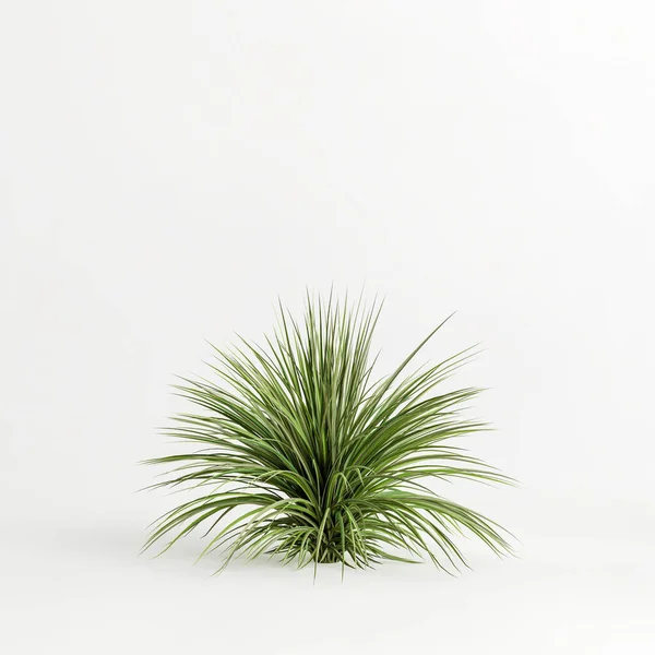 stock image 3d illustration of grass bush isolated on white background