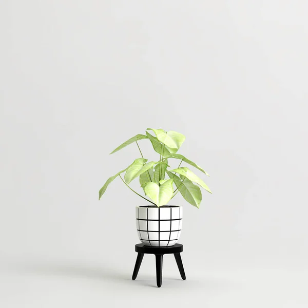 Illustration Potted Plant Isolated White Background — Stock Photo, Image