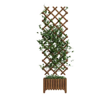 Çardağı beyaz arkaplanda izole edilmiş üç boyutlu bitki örtüsü çizimi