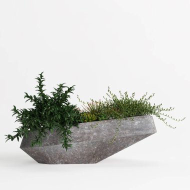 Beyaz arka planda izole edilmiş taş saksı bitkisinin 3D çizimi