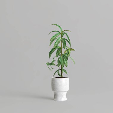 Gri arkaplanda izole edilmiş saksı bitkisinin 3d çizimi