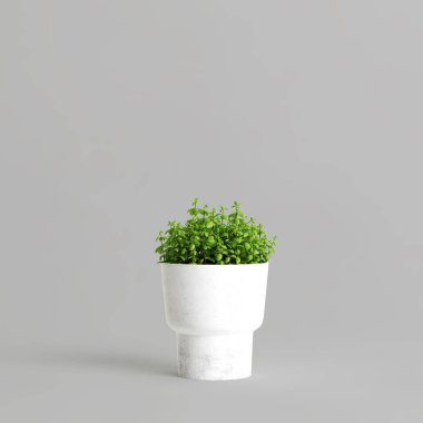 Gri arkaplanda izole edilmiş saksı bitkisinin 3d çizimi