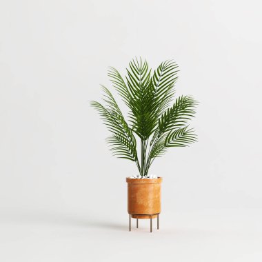 Beyaz arkaplanda izole edilmiş saksı bitkisinin 3d çizimi