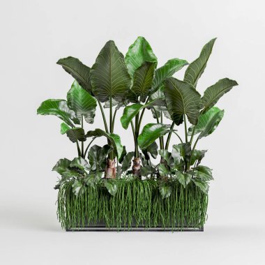 Beyaz arkaplanda izole edilmiş saksı bitkisinin 3d çizimi