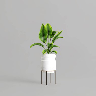 Gri arkaplanda izole edilmiş saksı bitkisinin 3d çizimi