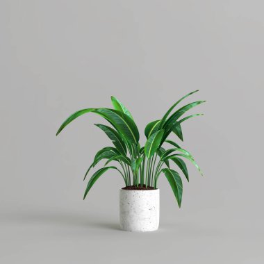 Gri arkaplanda izole edilmiş saksı bitkisinin 3d çizimi