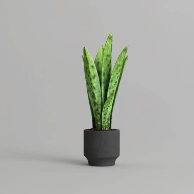 Gri arkaplanda izole edilmiş saksı bitkisinin 3d çizimi