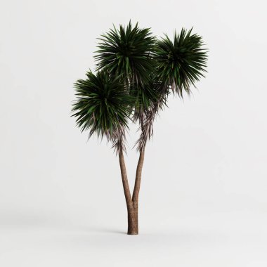 Beyaz arkaplanda izole edilmiş Cordyline australis ağacının 3d çizimi